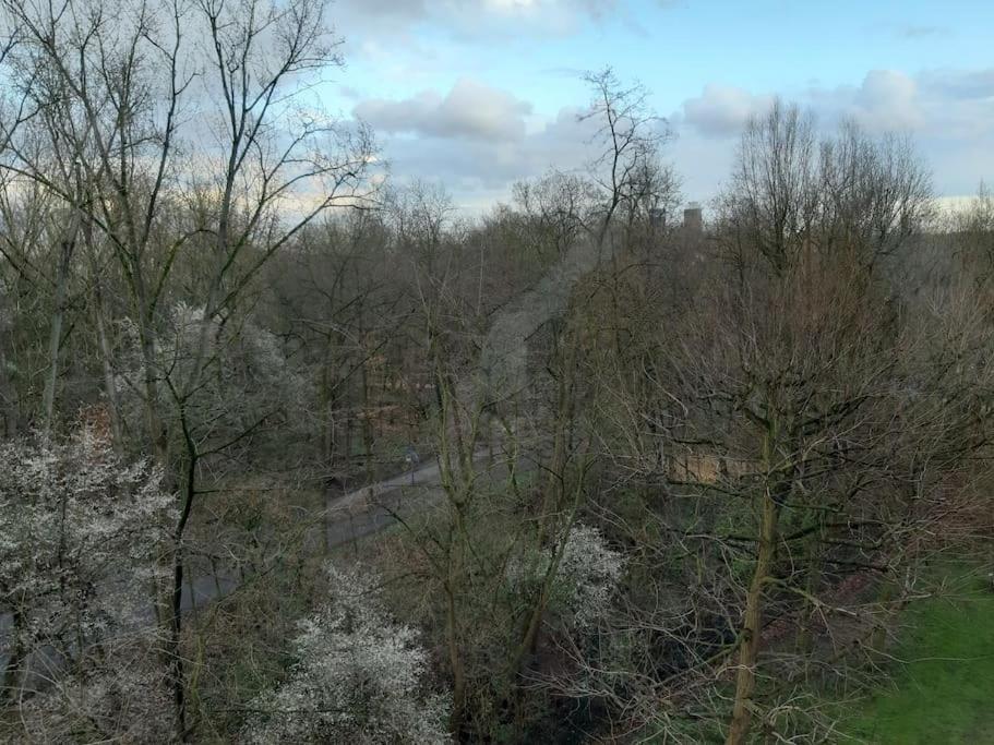 Zentral Und Doch Natur Koln Bagian luar foto